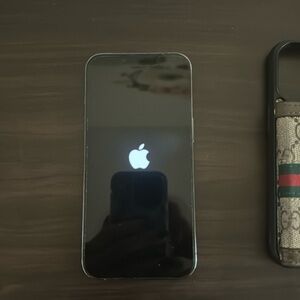 IPHONE 13 Pro with 2 covers